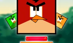 Jewel And Crazy Birds