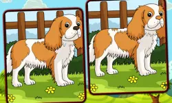 Dogs Spot The Differences