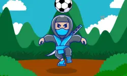 Ninja Head Ball