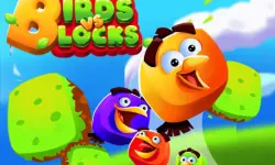 Birds VS Blocks