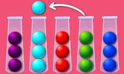 Ball Sort Puzzle New