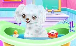 My New Poodle Friend