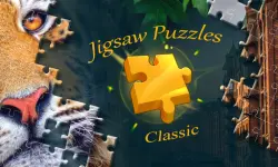 Jigsaw Puzzles Classic