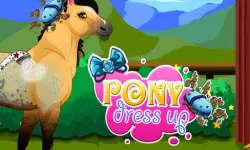 Pony Dress Up