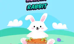 Hungry Rabbit
