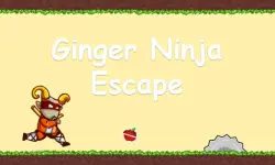 Ginger Ninja Escape