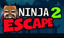 Ninja Escape 2