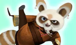 Kungfu Panda Shifu