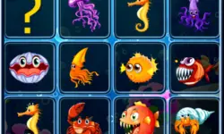 Sea Creatures Cards Match