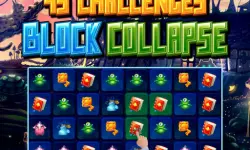 45 Challenges Block Collapse