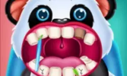 Wild Animal Hospital Veterinarian