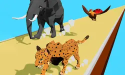 Animal Transform Race 3D