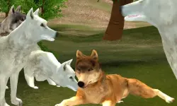 Wild Wolves
