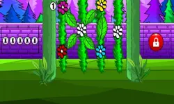 G2M Green Garden Escape