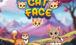 Cat Face