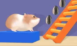 Hamster Stack Maze