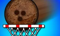 Super coconut Basket