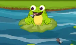 Frog Feast