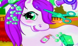 Horse Pet Salon background