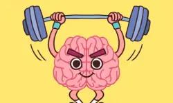 Perfect Brain 3D Puzzle background