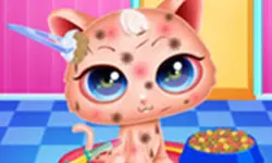 Cute Kitty Care - Pet Makeover