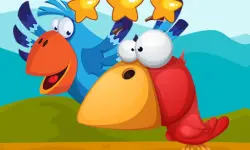 Fun Birds Hidden Stars