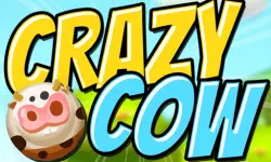 Crazy Cow