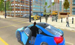 City Car Driving Free-RCC