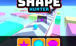 Shape Hunter