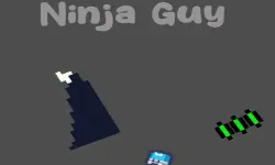 Ninja Guy