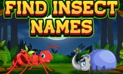 Find Insect Names background