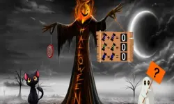 Halloween Owl Rescue