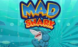 Mad Shark Fish background