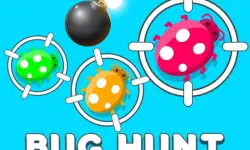 Bug Hunt 1