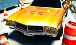 Backyard Parking Car Jam