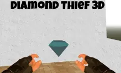 Diamond Thief 3D