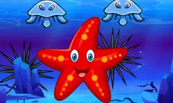 Survival Starfish