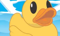Help The Duck