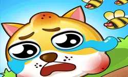 Save My Doge background