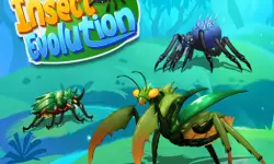 Insect Evolution