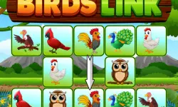 Birds Link