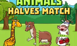 Animals Halves Match