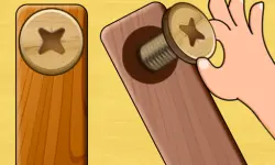 Screw Puzzle