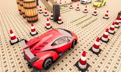 Craziest Car Parking