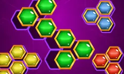Hexa Block Puzzle   Merge