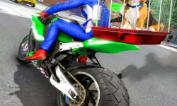 Motorcycle Pet Delivery