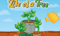 Life of a Tree