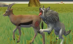 Wolf Life Simulator
