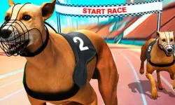 Crazy Dog Racing Fever