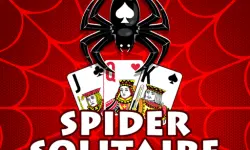 The Spider Solitaire